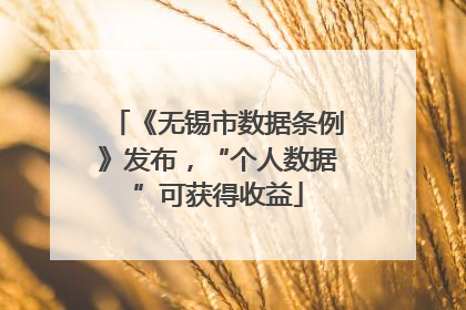 《无锡市数据条例》发布，“个人数据”可获得收益