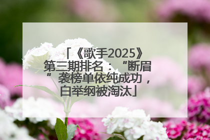 《歌手2025》第三期排名：“断眉”袭榜单依纯成功，白举纲被淘汰