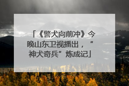 《警犬向前冲》今晚山东卫视播出，“神犬奇兵”炼成记