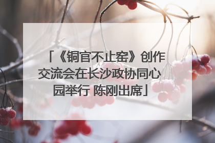 《铜官不止窑》创作交流会在长沙政协同心园举行 陈刚出席