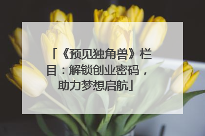 《预见独角兽》栏目：解锁创业密码，助力梦想启航