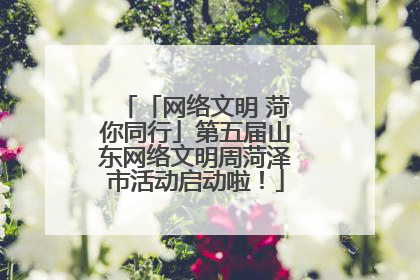 「网络文明 菏你同行」第五届山东网络文明周菏泽市活动启动啦！