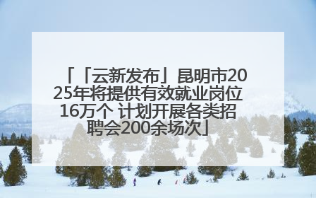 「云新发布」昆明市2025年将提供有效就业岗位16万个 计划开展各类招聘会200余场次
