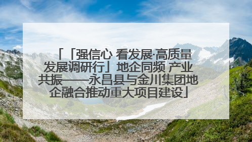 「强信心 看发展·高质量发展调研行」地企同频 产业共振——永昌县与金川集团地企融合推动重大项目建设