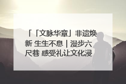 「文脉华章」非遗焕新 生生不息｜漫步六尺巷 感受礼让文化浸润的“巷”往生活