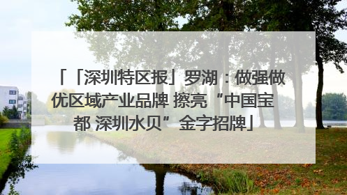 「深圳特区报」罗湖：做强做优区域产业品牌 擦亮“中国宝都 深圳水贝”金字招牌