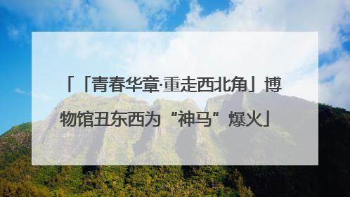 「青春华章·重走西北角」博物馆丑东西为“神马”爆火