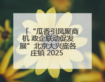 “瓜香引凤聚商机 政企联动促发展”北京大兴庞各庄镇 2025 年西瓜季政企联动产业推介活动圆满举行