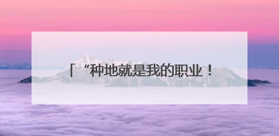 “种地就是我的职业！”看00后种粮人如何种好4000亩地→