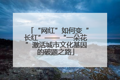 “网红”如何变“长红”——“一朵花”激活城市文化基因的破题之路