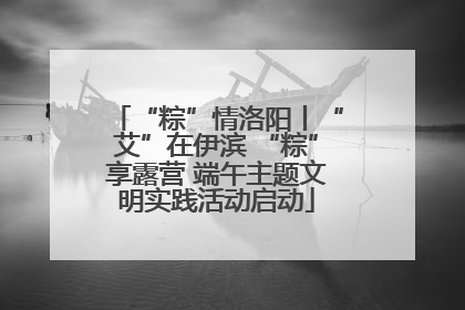“粽”情洛阳丨“艾”在伊滨 “粽”享露营 端午主题文明实践活动启动