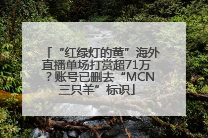 “红绿灯的黄”海外直播单场打赏超71万？账号已删去“MCN三只羊”标识