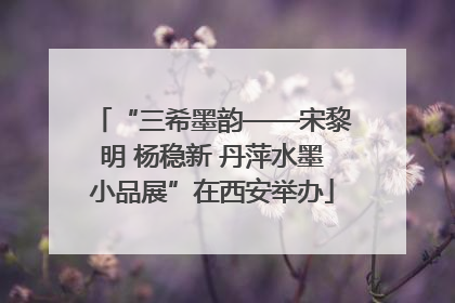“三希墨韵——宋黎明 杨稳新 丹萍水墨小品展”在西安举办