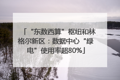 “东数西算”枢纽和林格尔新区：数据中心“绿电”使用率超80%