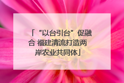 “以台引台”促融合 福建清流打造两岸农业共同体