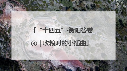 “十四五”·衡阳答卷③｜收粮时的小插曲