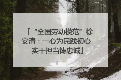 “全国劳动模范”徐安清：一心为民践初心 实干担当铸忠诚