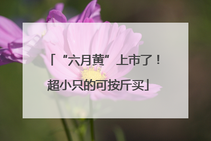 “六月黄”上市了！超小只的可按斤买