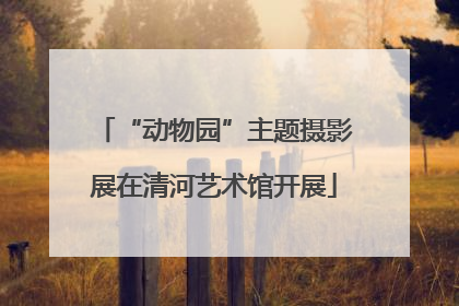 “动物园”主题摄影展在清河艺术馆开展