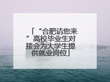 “合肥请您来”高校毕业生对接会为大学生提供就业岗位