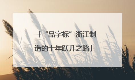 “品字标”浙江制造的十年跃升之路