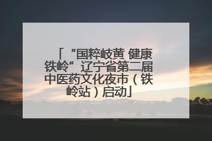 “国粹岐黄 健康铁岭”辽宁省第二届中医药文化夜市（铁岭站）启动