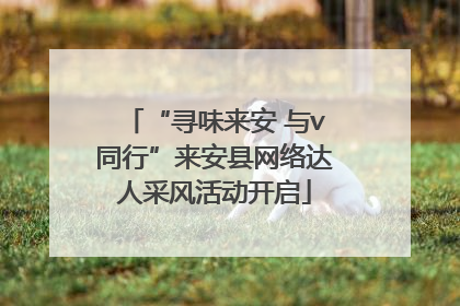 “寻味来安 与v同行”来安县网络达人采风活动开启