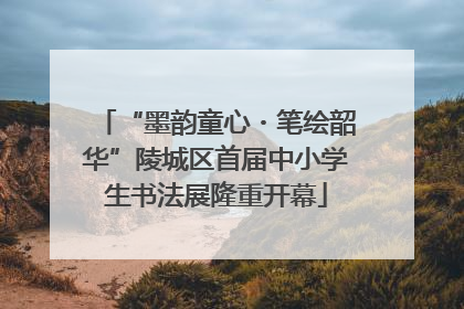 “墨韵童心・笔绘韶华”陵城区首届中小学生书法展隆重开幕