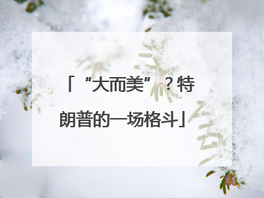 “大而美”？特朗普的一场格斗