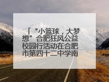“小篮球，大梦想”合肥狂风公益校园行活动在合肥市第四十二中学南城分校圆满落幕