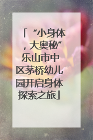 “小身体，大奥秘” 乐山市中区茅桥幼儿园开启身体探索之旅
