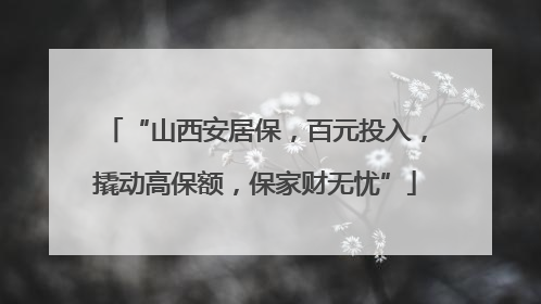 “山西安居保，百元投入，撬动高保额，保家财无忧”
