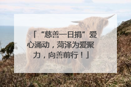 “慈善一日捐”爱心涌动，菏泽为爱聚力，向善前行！