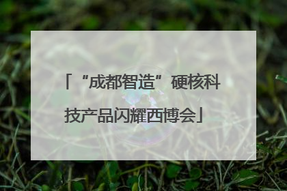 “成都智造”硬核科技产品闪耀西博会