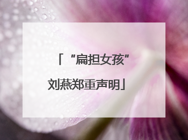 “扁担女孩”刘燕郑重声明