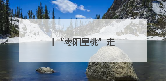 “枣阳皇桃”走进高校毕业季