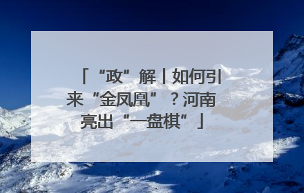 “政”解丨如何引来“金凤凰”？河南亮出“一盘棋”