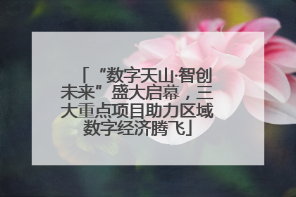 “数字天山·智创未来”盛大启幕，三大重点项目助力区域数字经济腾飞