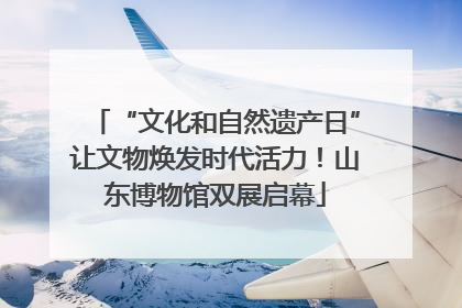 “文化和自然遗产日”让文物焕发时代活力！山东博物馆双展启幕