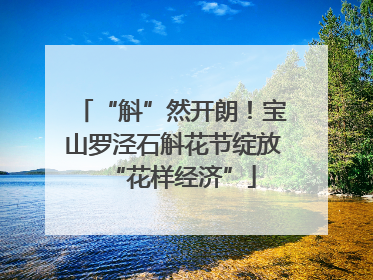 “斛”然开朗！宝山罗泾石斛花节绽放“花样经济”