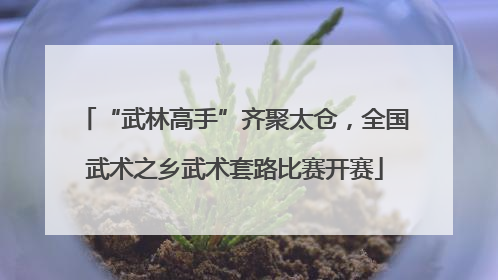 “武林高手”齐聚太仓，全国武术之乡武术套路比赛开赛