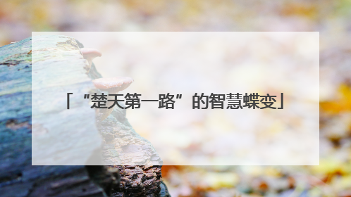 “楚天第一路”的智慧蝶变