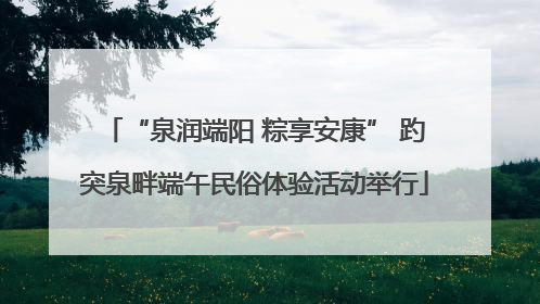 “泉润端阳 粽享安康” 趵突泉畔端午民俗体验活动举行
