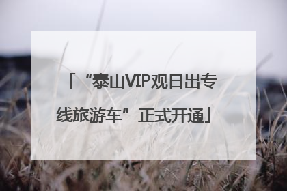 “泰山VIP观日出专线旅游车”正式开通