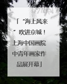 “海上风来”吹进京城！上海中国画院中青年画家作品展开幕