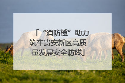 “消防橙”助力筑牢贵安新区高质量发展安全防线
