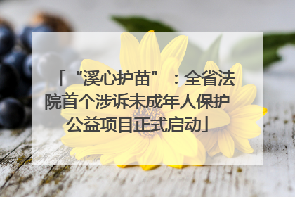 “溪心护苗”：全省法院首个涉诉未成年人保护公益项目正式启动