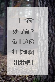 “荷”处寻夏？带上这份打卡地图出发吧