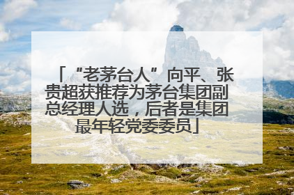 “老茅台人”向平、张贵超获推荐为茅台集团副总经理人选，后者是集团最年轻党委委员