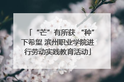 “芒”有所获 “种”下希望 滨州职业学院进行劳动实践教育活动